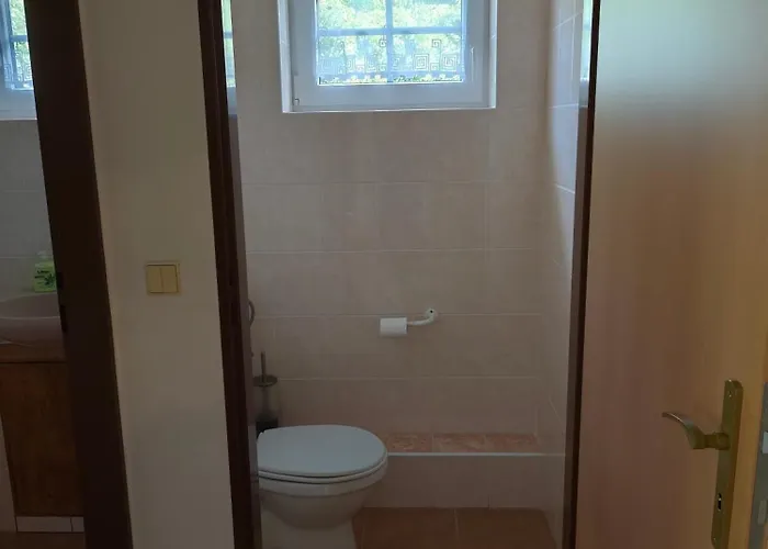 Janky 299 Apartmán Trutnov