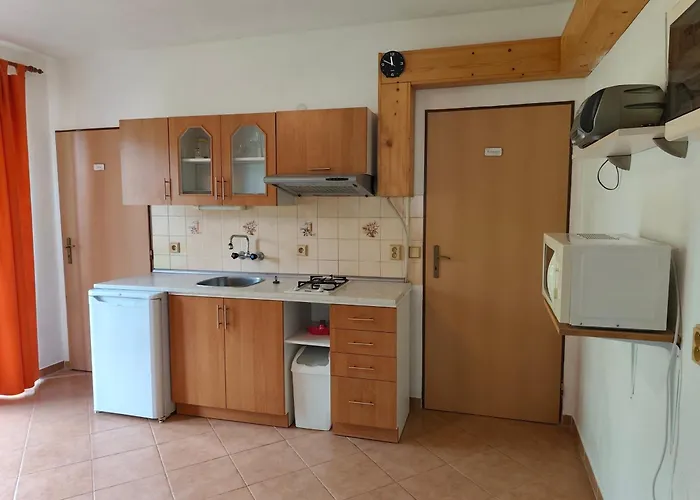 Apartmán Janky 299